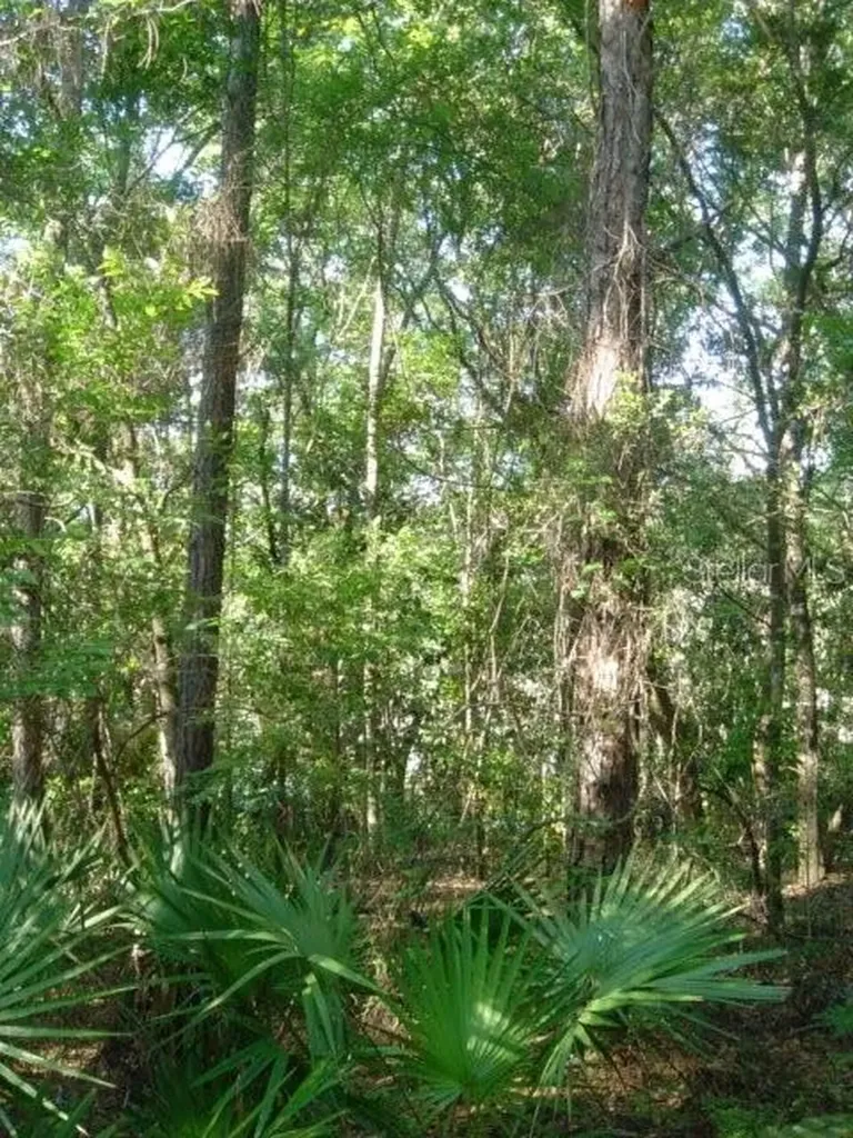 00 Tamarac Road Marianna FL 32448