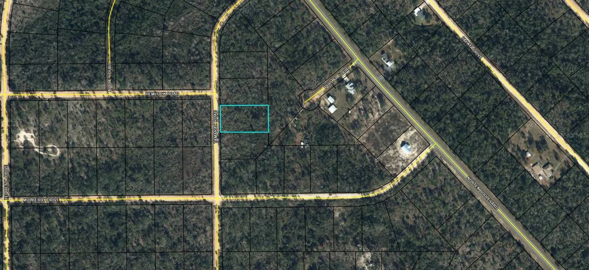 00 Tamarac Road Marianna FL 32448