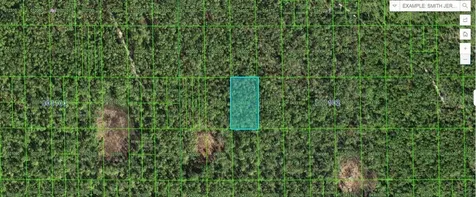 Highway 60 E Lake Wales FL 33898