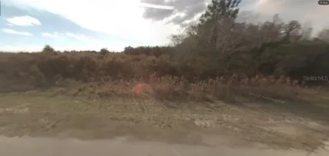 Backland Path Road Polk City FL 33868