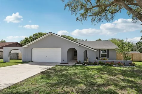 1009 Black Knight Drive Valrico FL 33594