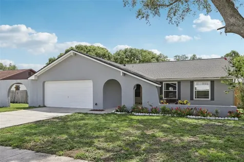 1009 Black Knight Drive Valrico FL 33594