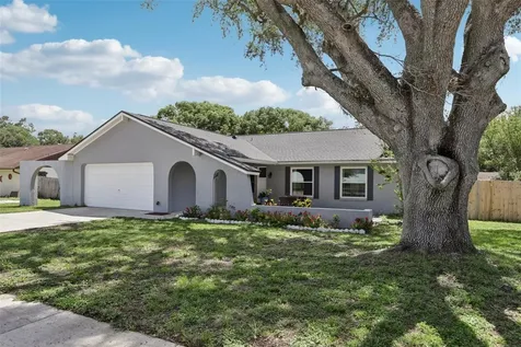 1009 Black Knight Drive Valrico FL 33594