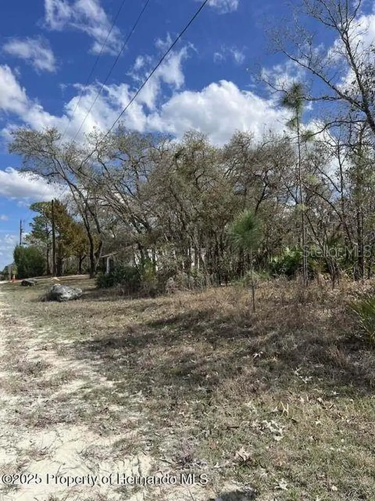 10180 Zebrafinch Avenue Weeki Wachee FL 34614