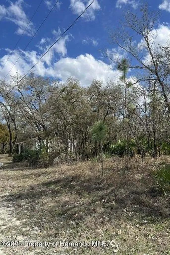 10180 Zebrafinch Avenue Weeki Wachee FL 34614