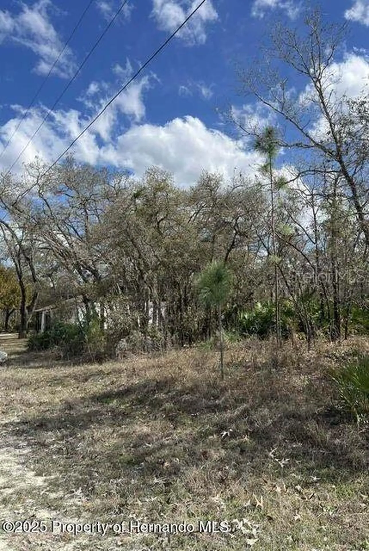 10180 Zebrafinch Avenue Weeki Wachee FL 34614