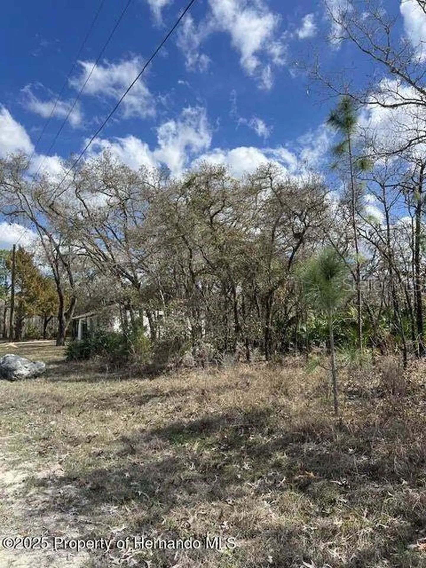 10180 Zebrafinch Avenue Weeki Wachee FL 34614