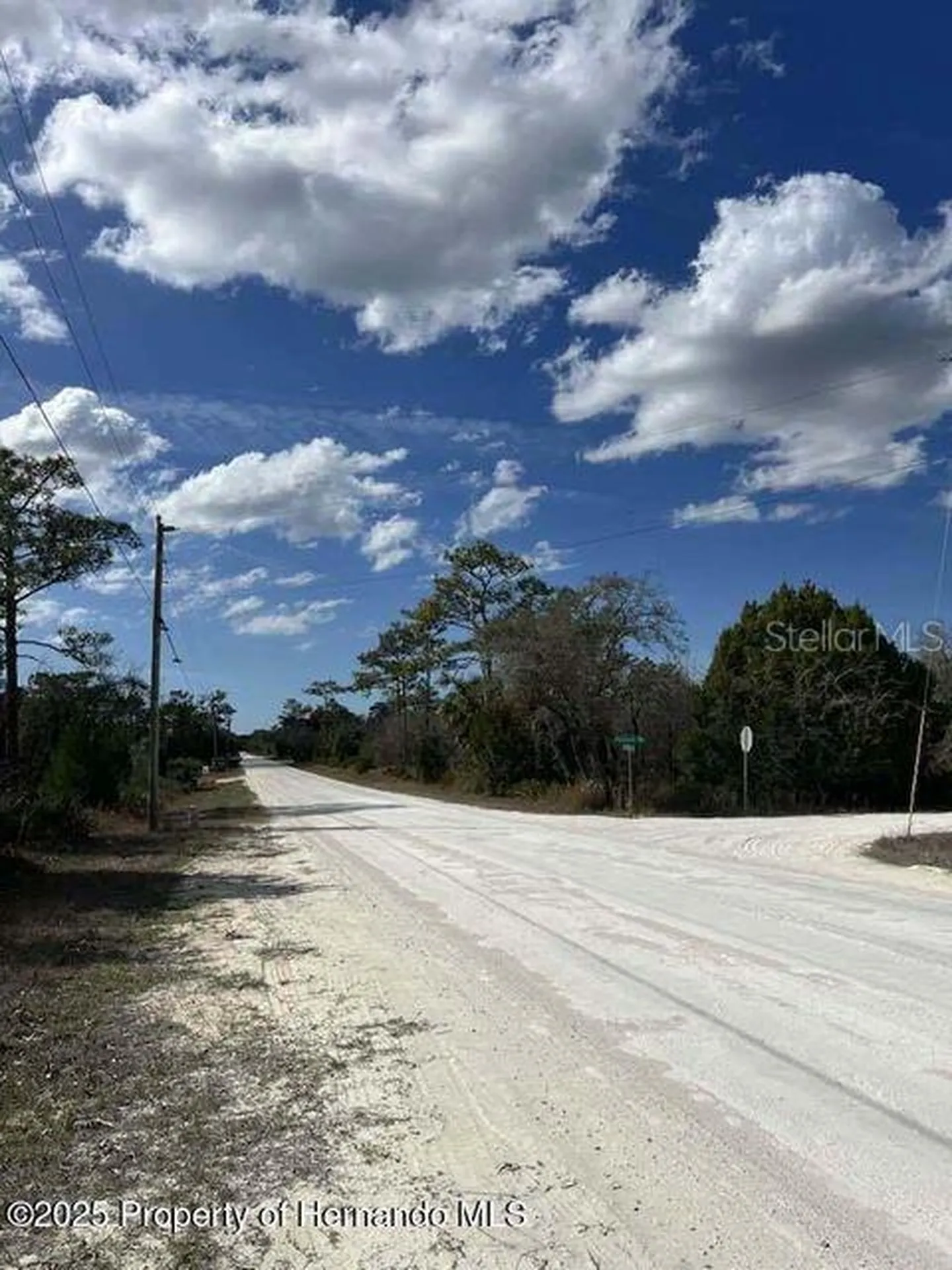 10180 Zebrafinch Avenue Weeki Wachee FL 34614