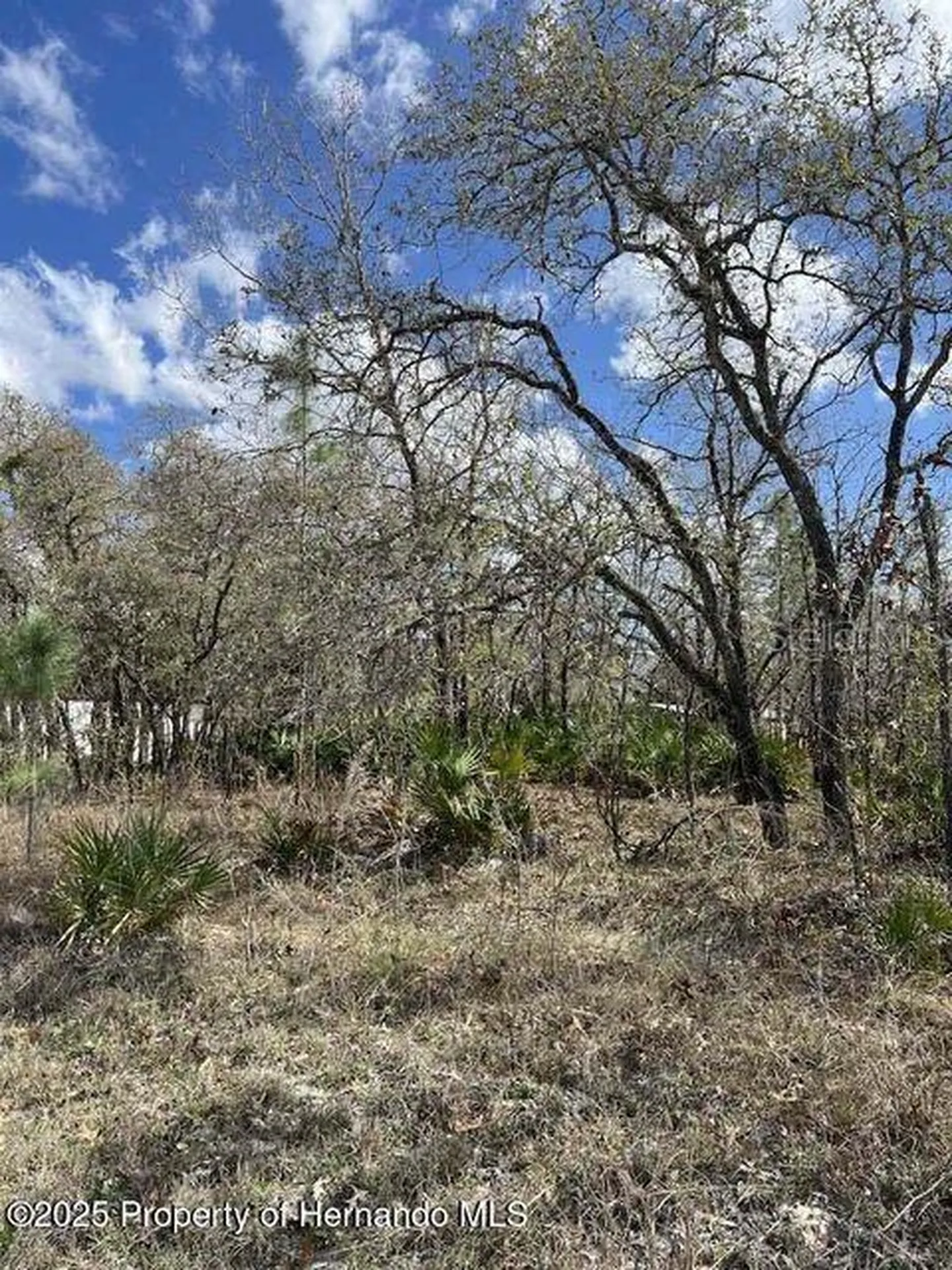 10180 Zebrafinch Avenue Weeki Wachee FL 34614
