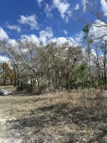 10180 Zebrafinch Avenue Weeki Wachee FL 34614