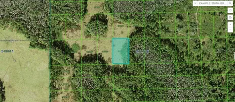 Judy Road Polk City FL 33868