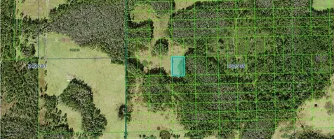 Judy Road Polk City FL 33868