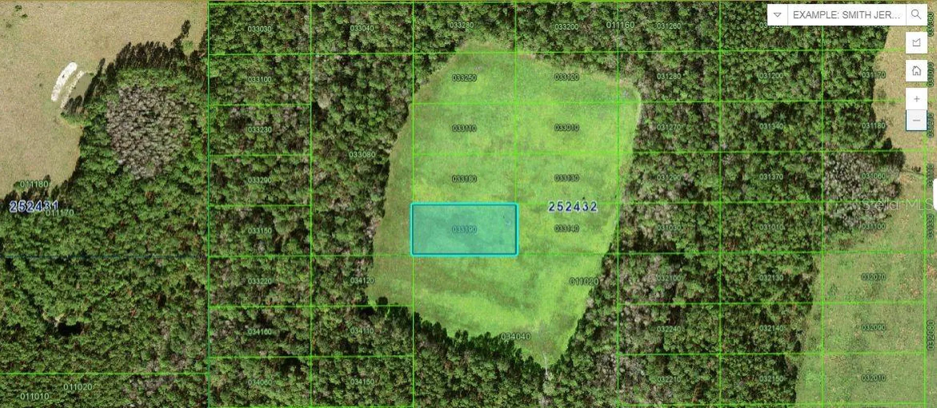 Double Diamond Drive Polk City FL 33868