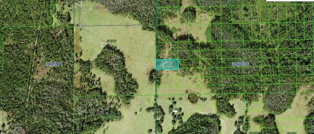 Judy Road Polk City FL 33868