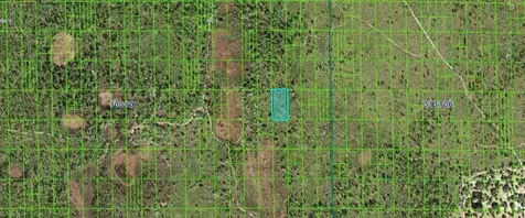 Shady Oaks Drive Lake Wales FL 33898