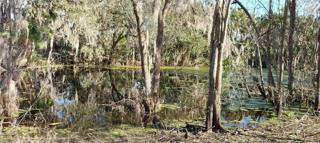 11105 Winn Road Riverview FL 33569