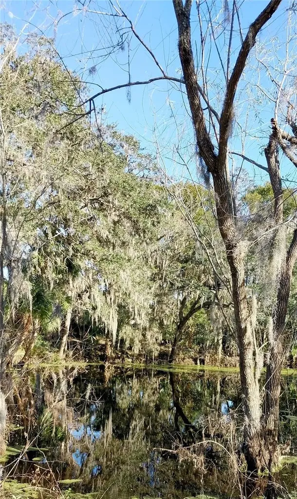 11105 Winn Road Riverview FL 33569