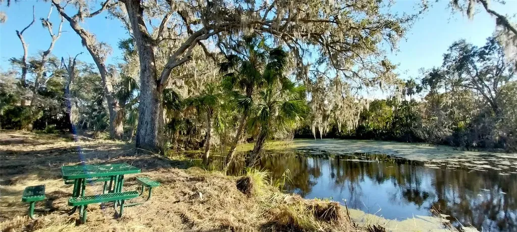 11105 Winn Road Riverview FL 33569
