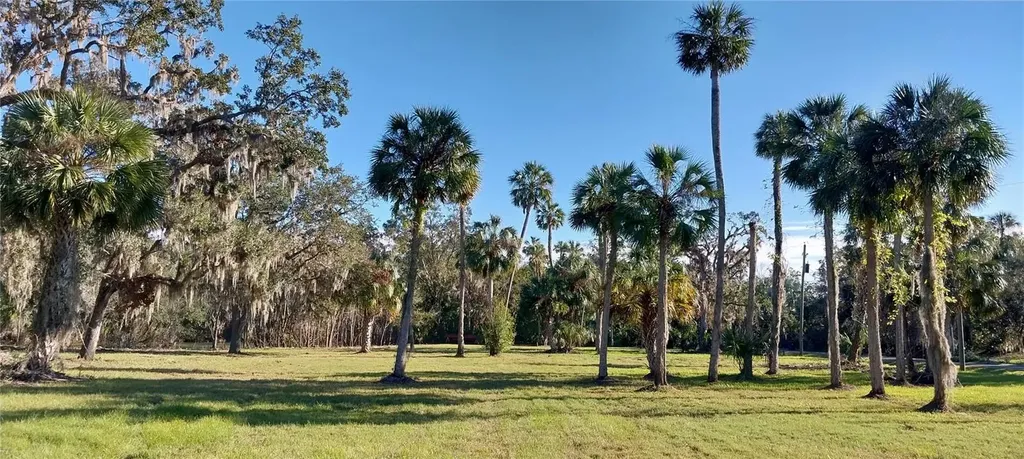 11105 Winn Road Riverview FL 33569