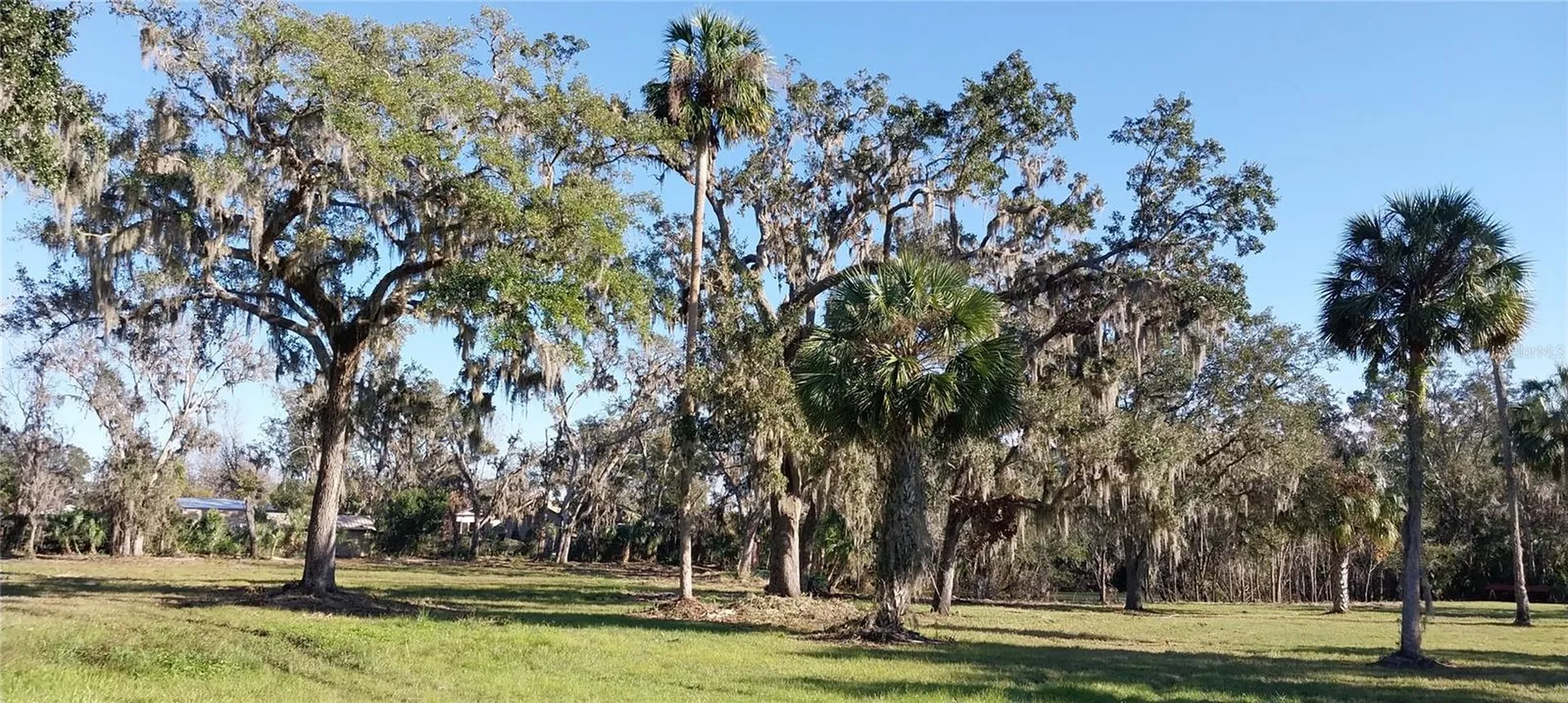 11105 Winn Road Riverview FL 33569