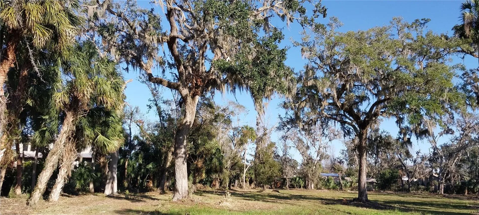 11105 Winn Road Riverview FL 33569