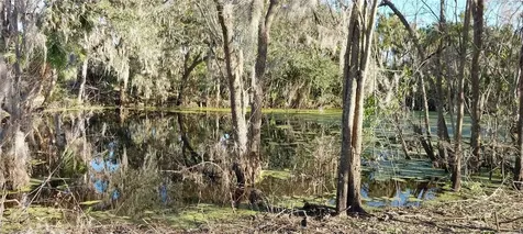 11105 Winn Road Riverview FL 33569