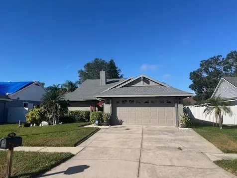 7056 Hollowell Drive Tampa FL 33634
