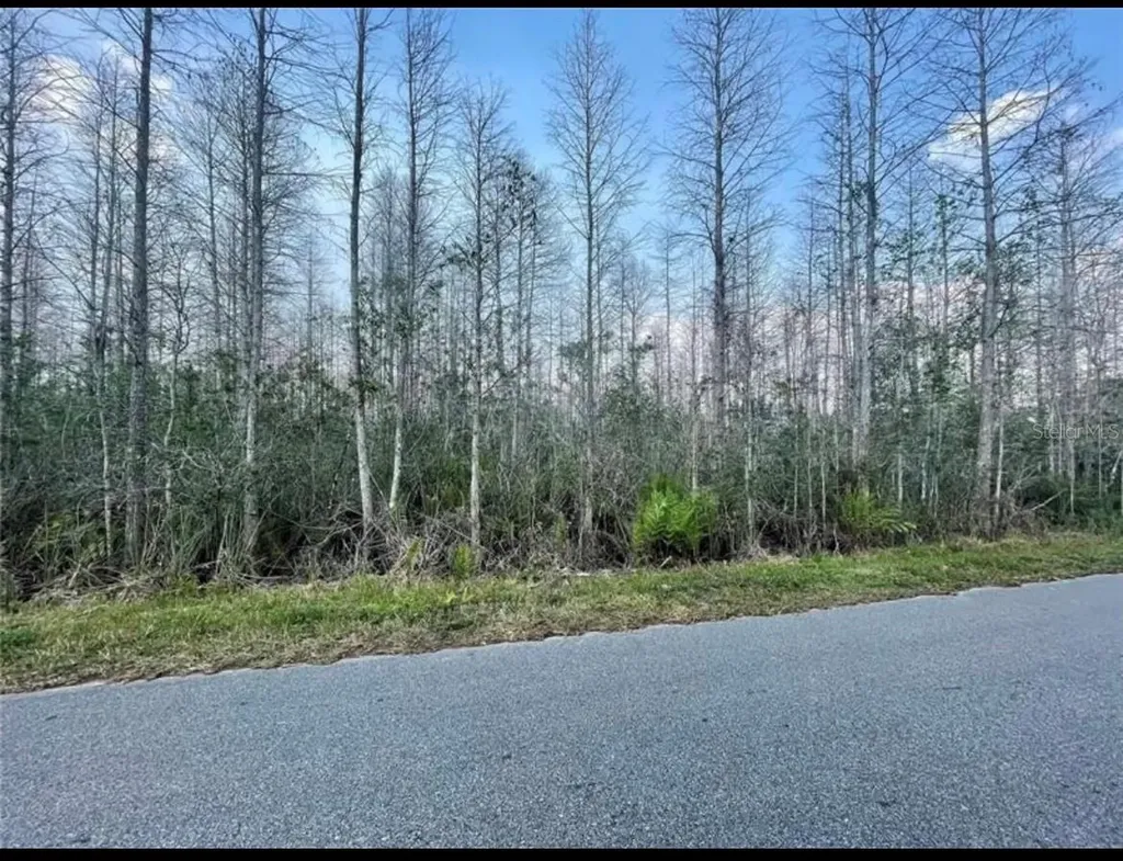 Luna Drive St Cloud FL 34773