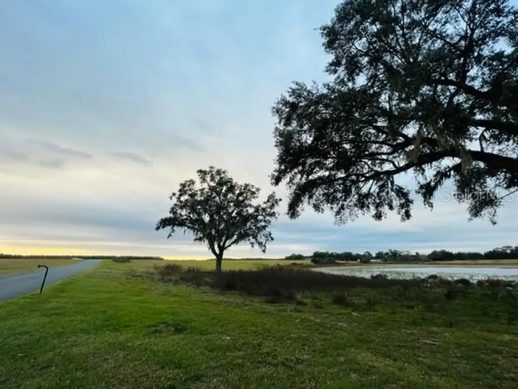 Tbd SE 74th Lane Road Ocklawaha FL 32179