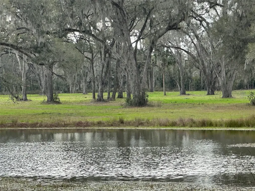 Tbd NW 160th Street Reddick FL 32686