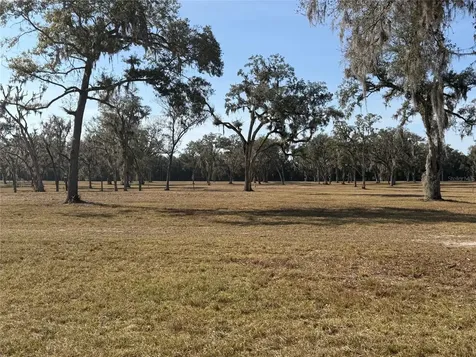 Tbd NW 160th Street Reddick FL 32686