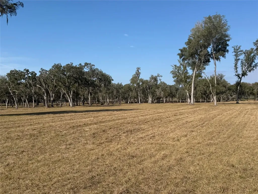 Tbd NW 160th Street Reddick FL 32686