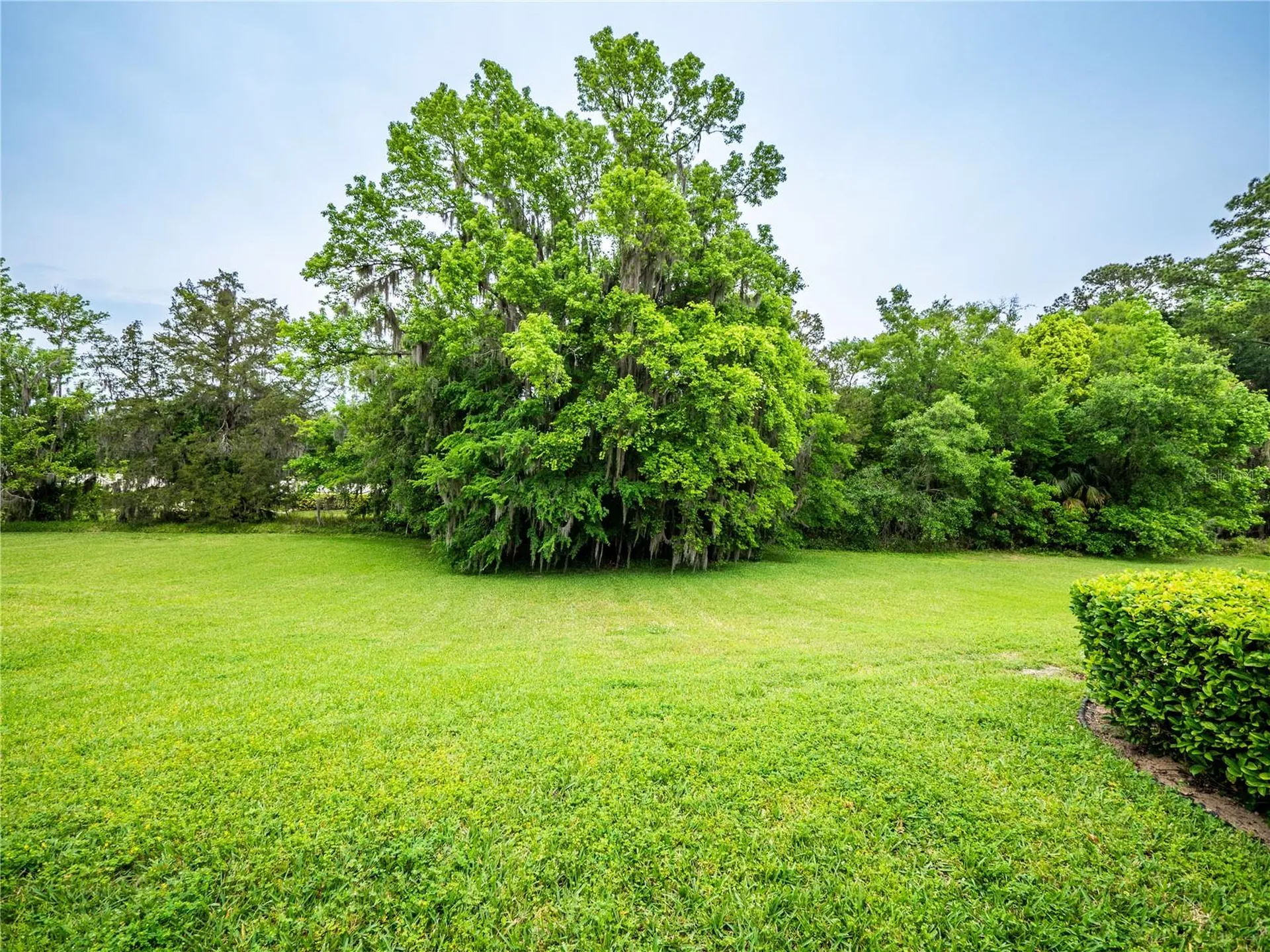 1945 SW 40th Place Ocala FL 34471