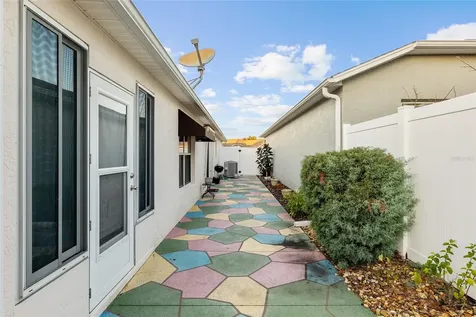972 Buster Place The Villages FL 32162