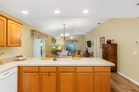 972 Buster Place The Villages FL 32162