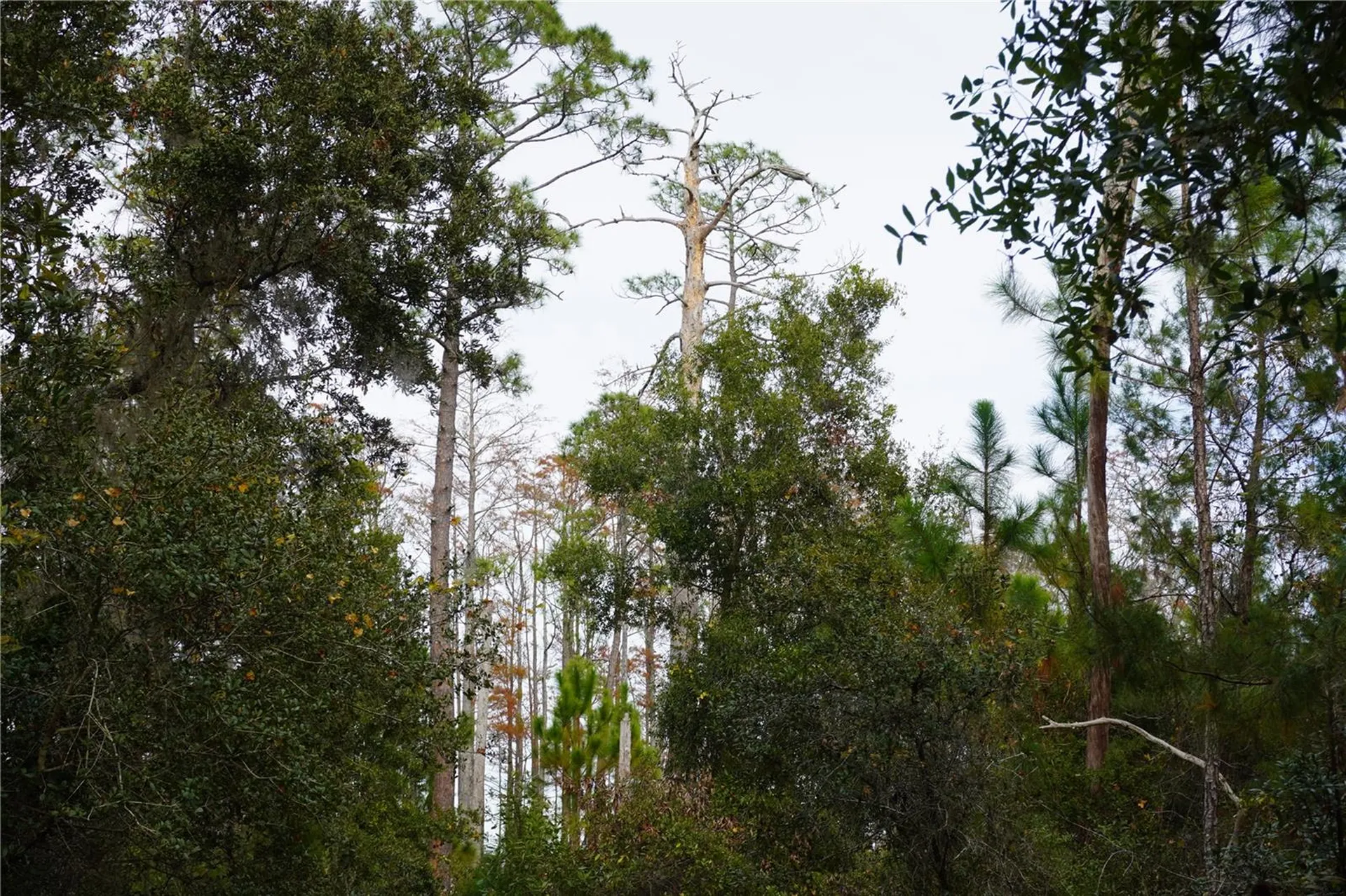 West Parkway Deland FL 32724