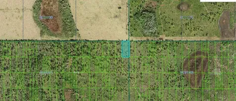 Shady Oaks Drive Lake Wales FL 33898