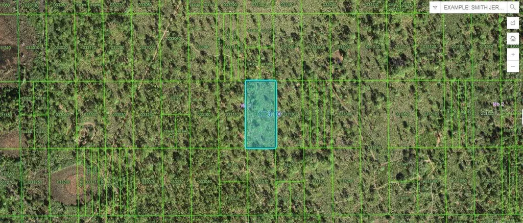 Shady Oaks Drive Lake Wales FL 33898