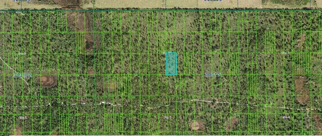 Shady Oaks Drive Lake Wales FL 33898