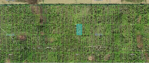 Shady Oaks Drive Lake Wales FL 33898
