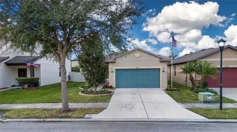 6321 Yellow Buckeye Drive Riverview FL 33578
