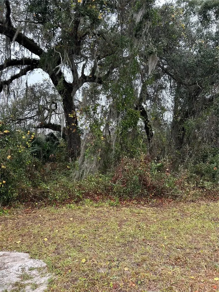 Emporia Road Pierson FL 32180