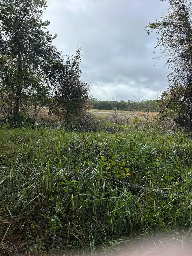 Emporia Road Pierson FL 32180