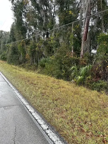 Emporia Road Pierson FL 32180