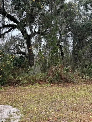 Emporia Road Pierson FL 32180