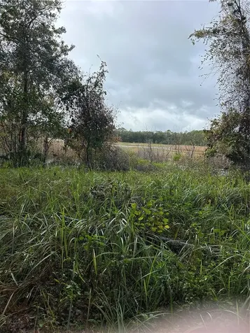 Emporia Road Pierson FL 32180