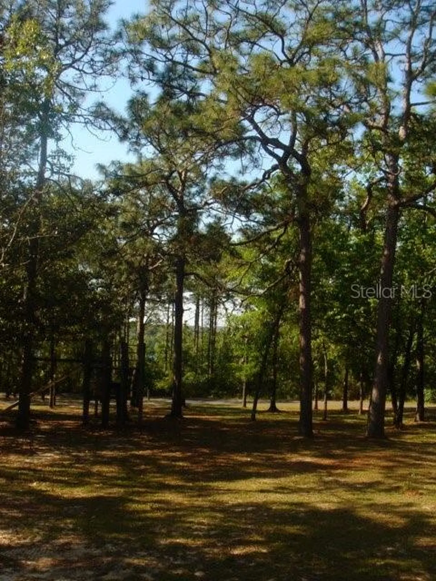 00 Castillo Drive Alford FL 32420