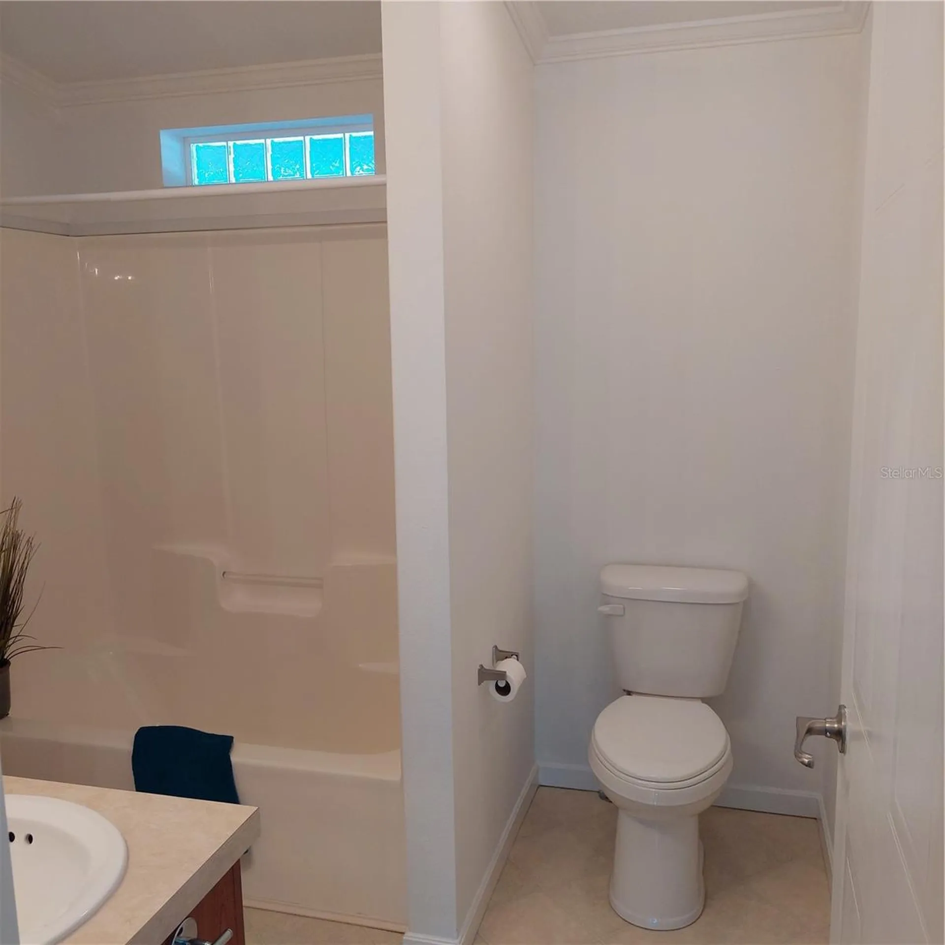 1760 Dorothy Boulevard Lutz FL 33558