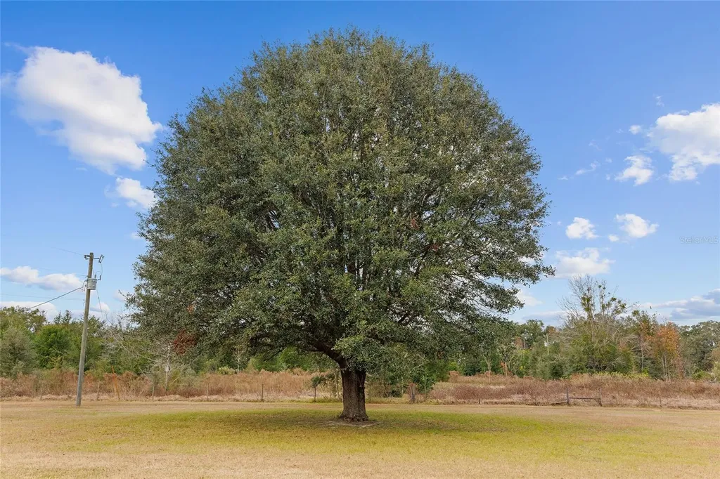 21959 NW 6th Street Dunnellon FL 34431