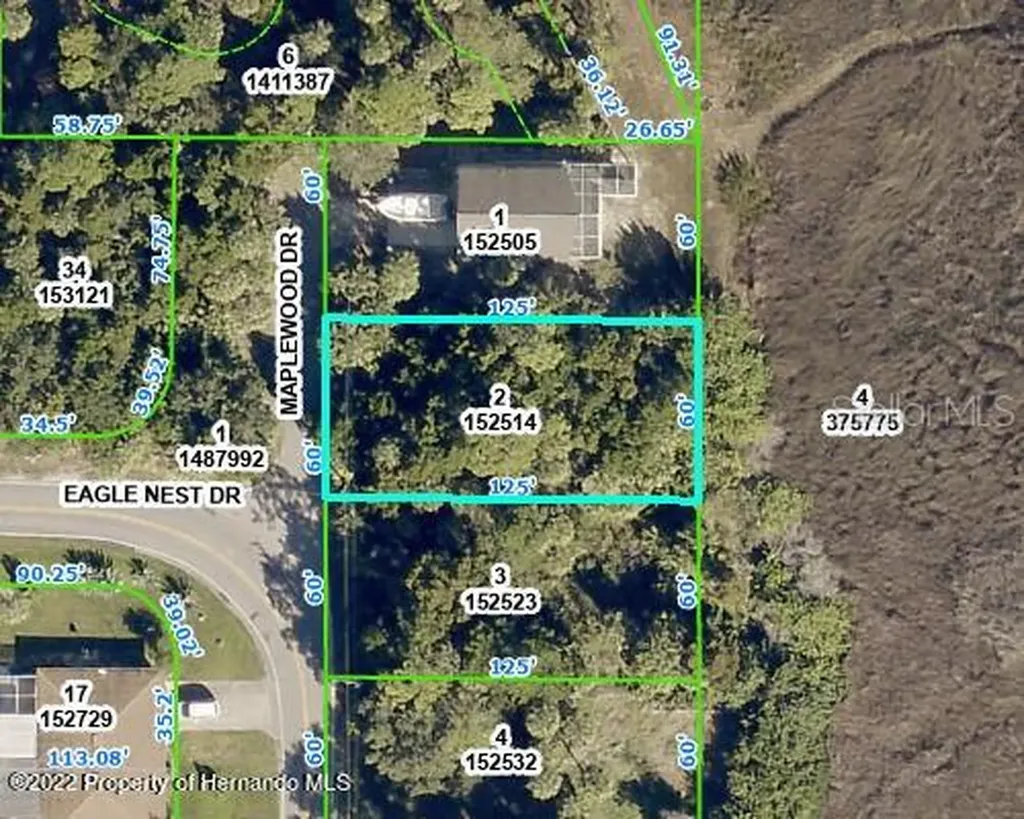 5082 Maplewood Drive Hernando Beach FL 34607